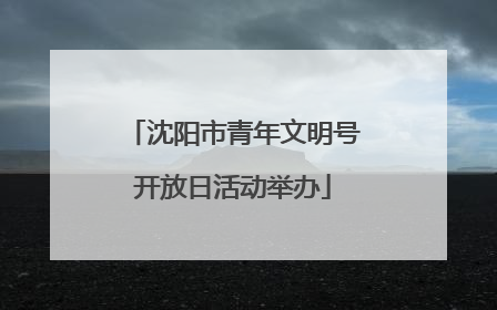 沈阳市青年文明号开放日活动举办