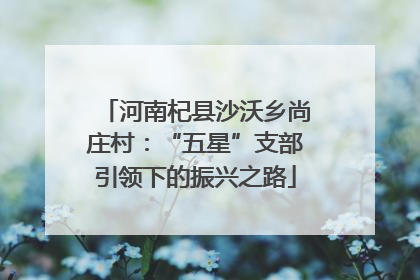 河南杞县沙沃乡尚庄村：“五星”支部引领下的振兴之路