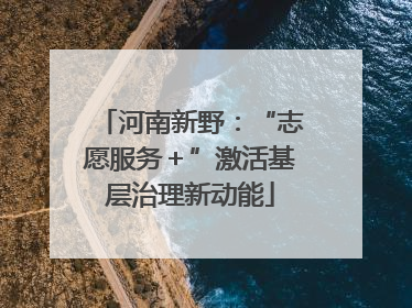 河南新野：“志愿服务＋”激活基层治理新动能