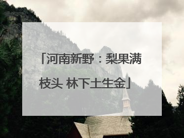 河南新野：梨果满枝头 林下土生金