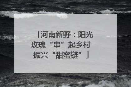 河南新野：阳光玫瑰“串”起乡村振兴“甜蜜链”