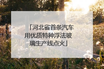 河北省首条汽车用优质特种浮法玻璃生产线点火