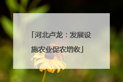 河北卢龙：发展设施农业促农增收