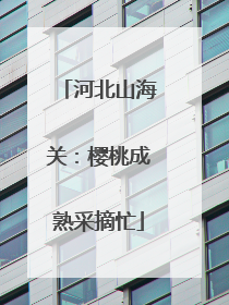 河北山海关：樱桃成熟采摘忙