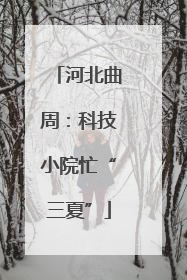 河北曲周：科技小院忙“三夏”