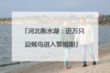 河北衡水湖：近万只夏候鸟进入繁殖期