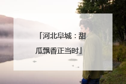 河北阜城：甜瓜飘香正当时