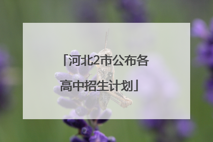 河北2市公布各高中招生计划