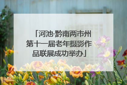 河池·黔南两市州第十一届老年摄影作品联展成功举办
