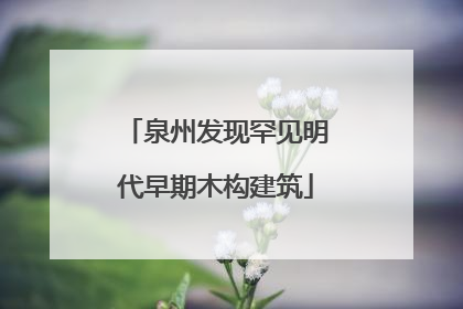 泉州发现罕见明代早期木构建筑