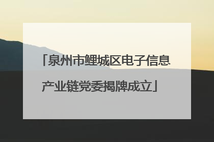 泉州市鲤城区电子信息产业链党委揭牌成立