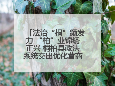 法治“桐”频发力 “柏”业锦绣正兴 桐柏县政法系统交出优化营商环境“成绩单”
