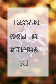 法治春风拂校园，藏蓝守护伴成长
