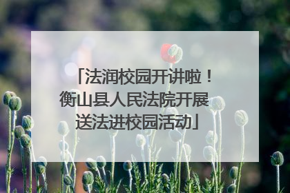 法润校园开讲啦！衡山县人民法院开展 送法进校园活动