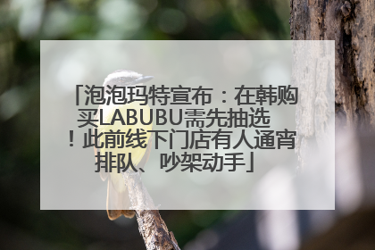 泡泡玛特宣布：在韩购买LABUBU需先抽选！此前线下门店有人通宵排队、吵架动手
