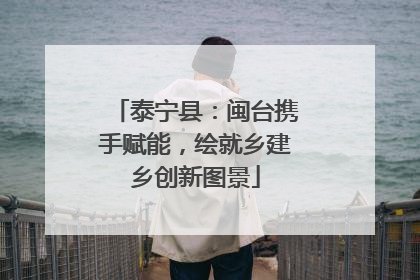 泰宁县：闽台携手赋能，绘就乡建乡创新图景