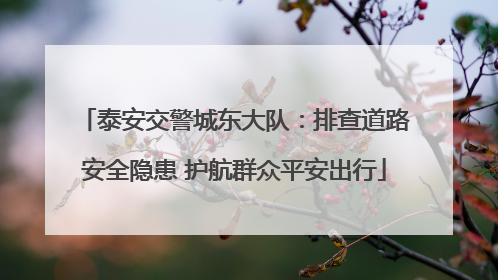 泰安交警城东大队：排查道路安全隐患 护航群众平安出行