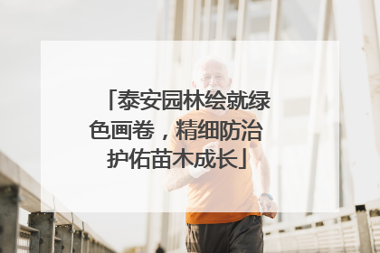 泰安园林绘就绿色画卷，精细防治护佑苗木成长