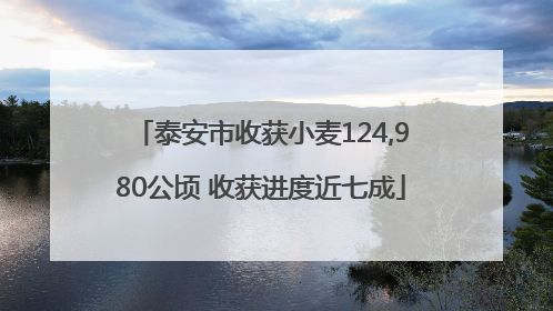 泰安市收获小麦124,980公顷 收获进度近七成