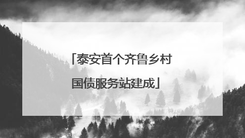 泰安首个齐鲁乡村国债服务站建成
