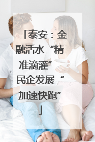 泰安：金融活水“精准滴灌” 民企发展“加速快跑”