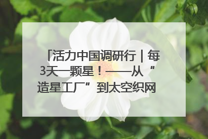 活力中国调研行｜每3天一颗星！——从“造星工厂”到太空织网的“银河速度”