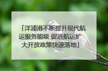 洋浦港不断提升现代航运服务能级 促进航运扩大开放政策快速落地