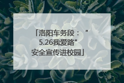 洛阳车务段：“5.26我爱路”安全宣传进校园