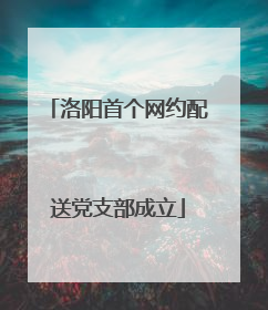洛阳首个网约配送党支部成立