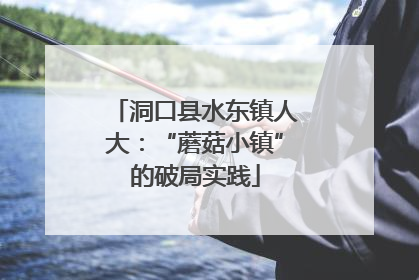 洞口县水东镇人大：“蘑菇小镇”的破局实践