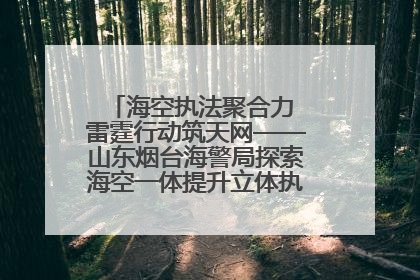 海空执法聚合力 雷霆行动筑天网——山东烟台海警局探索海空一体提升立体执法效能纪实