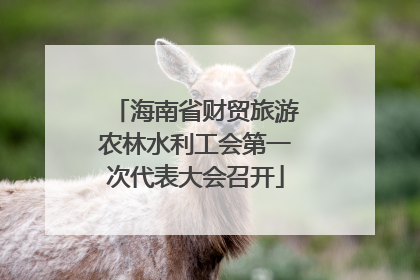 海南省财贸旅游农林水利工会第一次代表大会召开