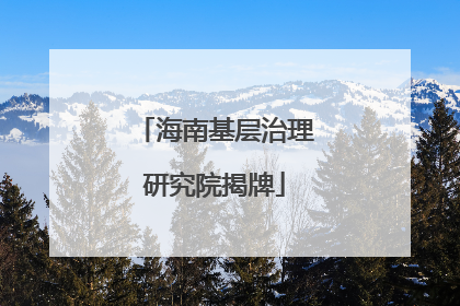 海南基层治理研究院揭牌
