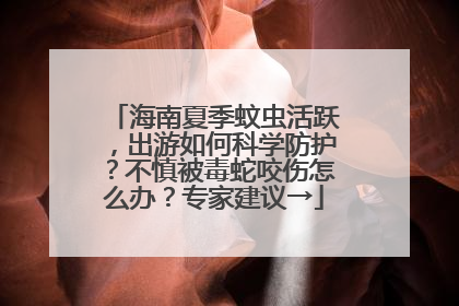 海南夏季蚊虫活跃，出游如何科学防护？不慎被毒蛇咬伤怎么办？专家建议→