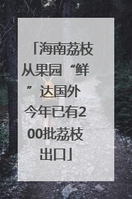 海南荔枝从果园“鲜”达国外 今年已有200批荔枝出口