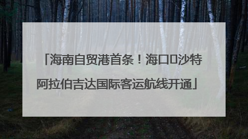 海南自贸港首条！海口⇌沙特阿拉伯吉达国际客运航线开通