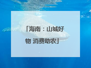 海南：山城好物 消费助农