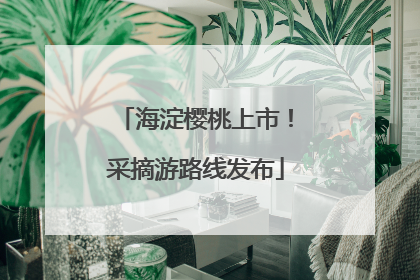 海淀樱桃上市！采摘游路线发布