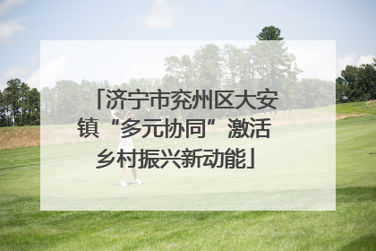 济宁市兖州区大安镇“多元协同”激活乡村振兴新动能