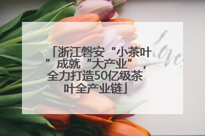 浙江磐安“小茶叶”成就“大产业”，全力打造50亿级茶叶全产业链