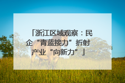 浙江区域观察：民企“青蓝接力”折射产业“向新力”