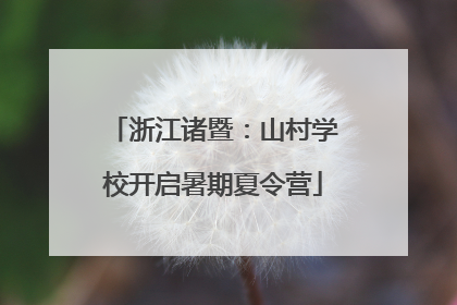 浙江诸暨：山村学校开启暑期夏令营