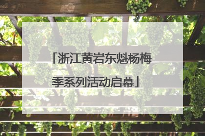 浙江黄岩东魁杨梅季系列活动启幕
