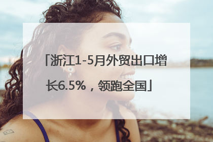 浙江1-5月外贸出口增长6.5%，领跑全国