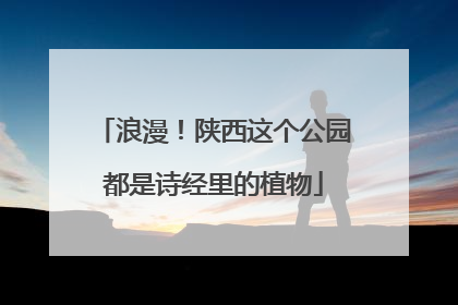 浪漫！陕西这个公园都是诗经里的植物