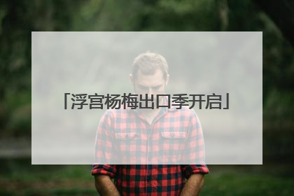 浮宫杨梅出口季开启