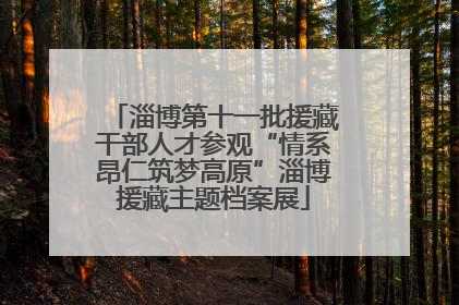 淄博第十一批援藏干部人才参观“情系昂仁筑梦高原”淄博援藏主题档案展