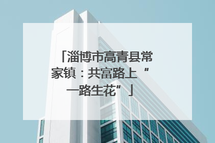 淄博市高青县常家镇：共富路上“一路生花”