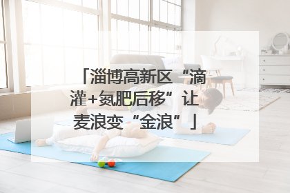 淄博高新区“滴灌+氮肥后移”让麦浪变“金浪”