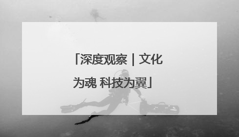 深度观察｜文化为魂 科技为翼